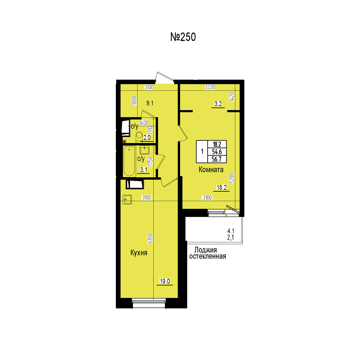 Однокомнатная №250